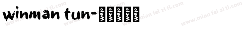 winman tun字体转换